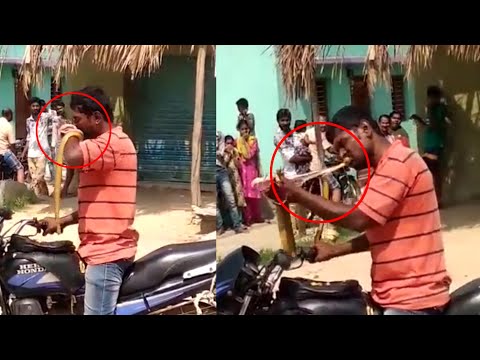 Man Eating Snake In India