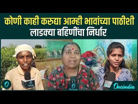 लाडक्या बहिणी म्हणतात, आम्ही भावांची साथ सोडणार नाही | Oneindia Marathi