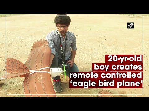 20-yr-old boy creates remote controlled ‘eagle bird plane’