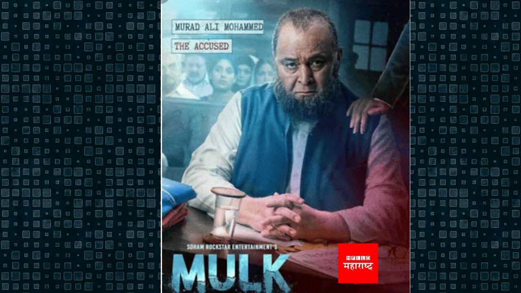 mulk review