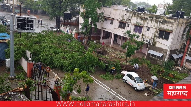 शहराला ‘गुलाबाचा’ तडाखा, शहराची उडाली दाणादाण; अनेक भागात साचले पाणी