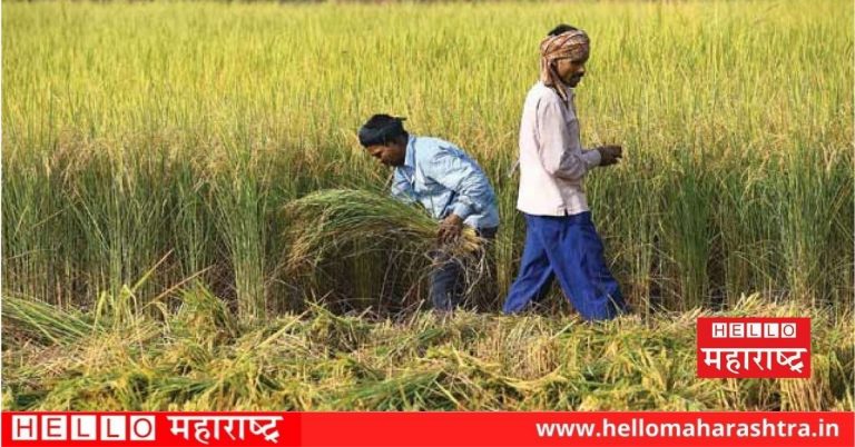 Farmer Accident Welfare Scheme : शेतकर्‍याचा अपघात झाला तर मिळणार 5 लाख रुपयांची मदत; असा करा अर्ज