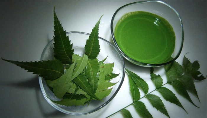 Neem leaf juice