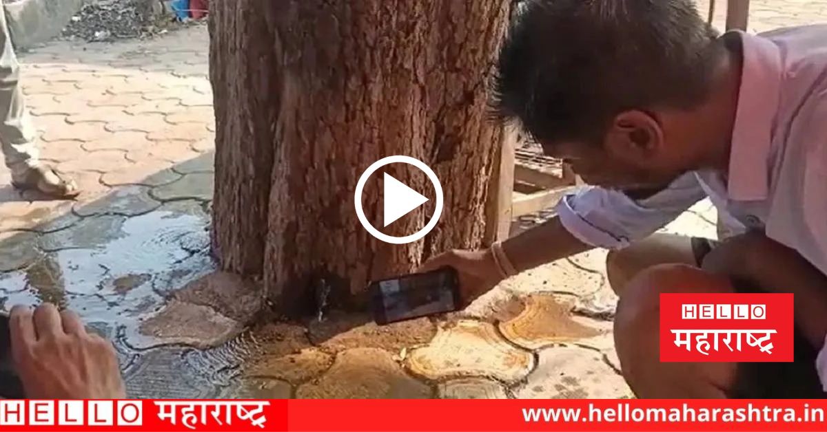 shivpuri pohari nagar floating water from tree