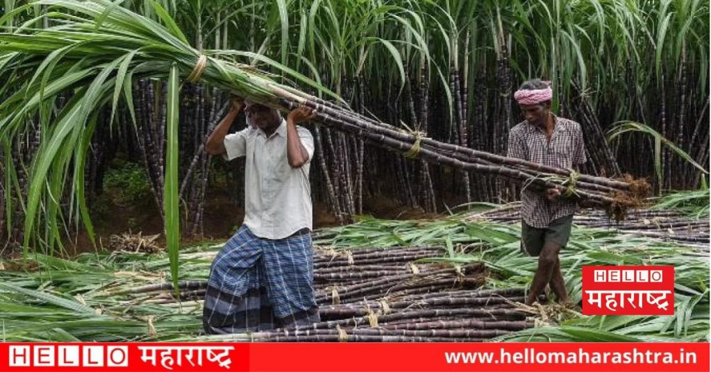 ऊस उत्पादक शेतकऱ्यांसाठी खुशखबर केंद्राकडून Frp मध्ये वाढ Hello Maharashtra