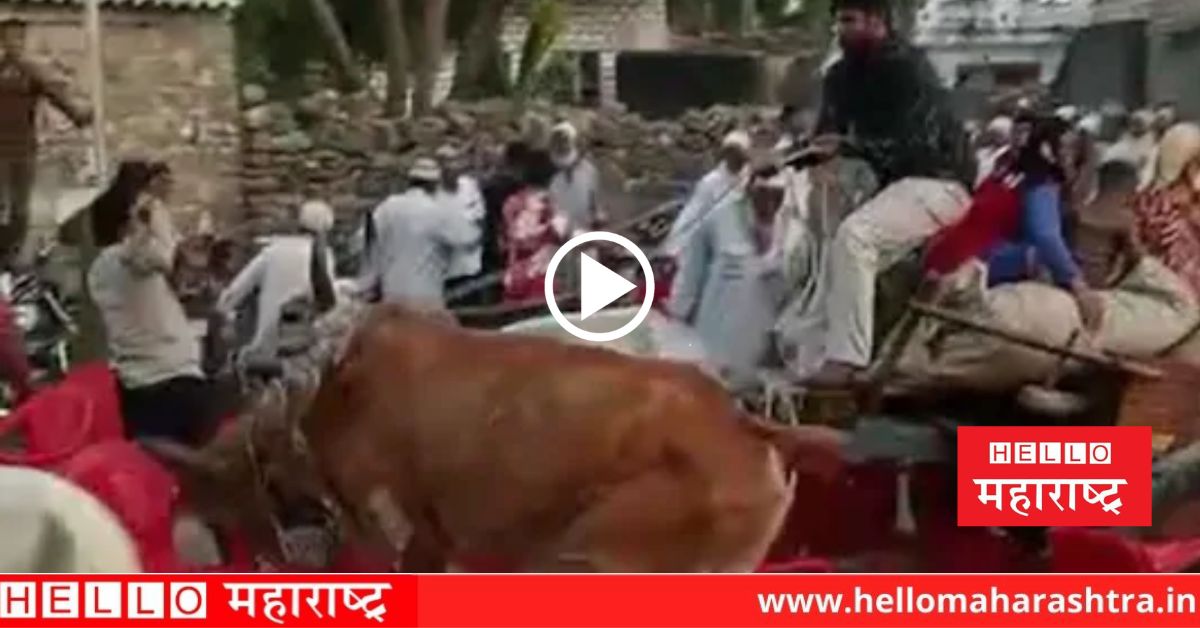 bull entered in crowd and attacked on people