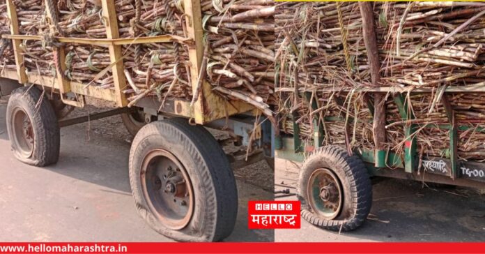 sugarcane Sahyadri factories