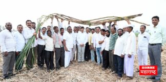 Rethere Haranaksh Sugarcane Produced