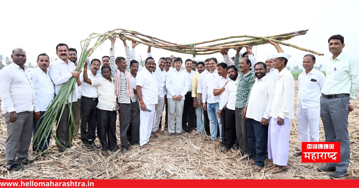 Rethere Haranaksh Sugarcane Produced