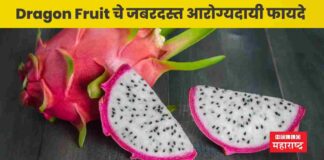 Dragon Fruit