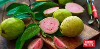 Guava