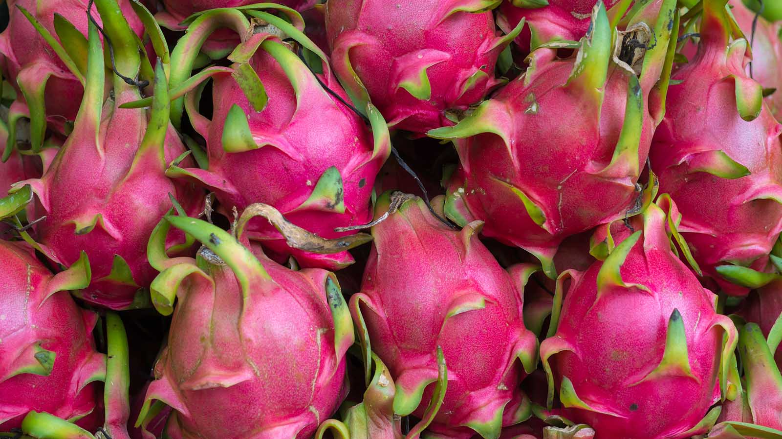 Dragon Fruit