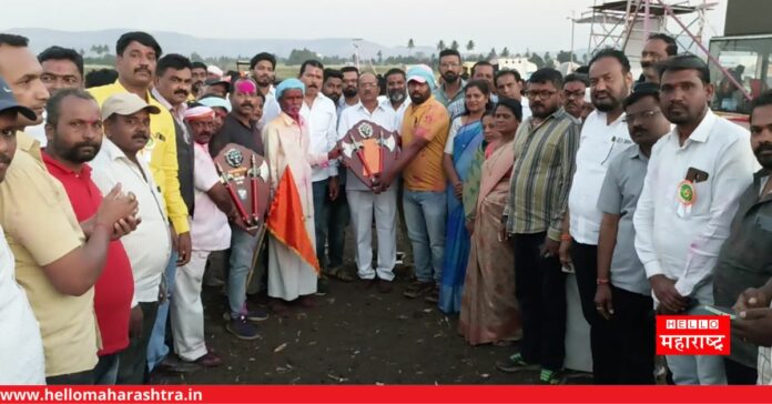 Bullock cart race Karad