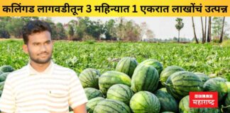 Akshay Lembhe watermelon farming