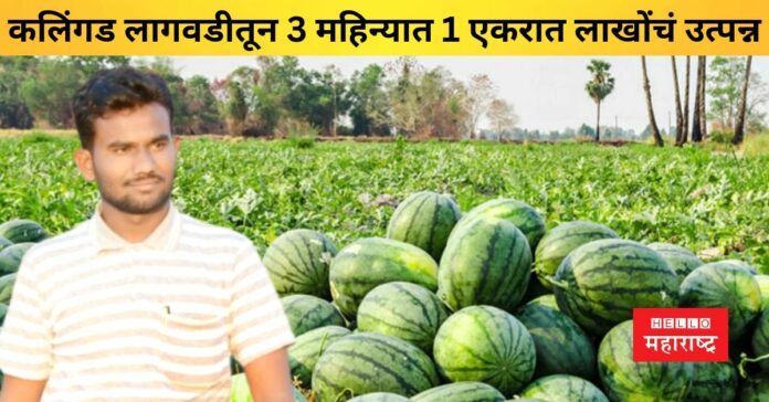 Akshay Lembhe watermelon farming