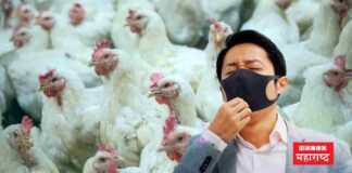 Bird Flu Human