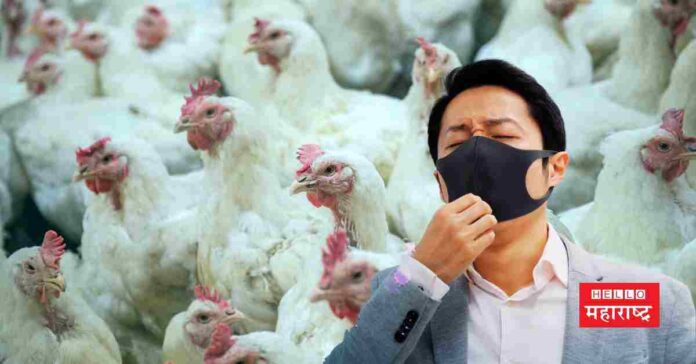 Bird Flu Human