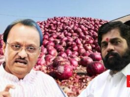 Onion Cotton Ajit Pawar Eknath Shinde