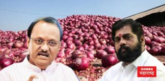Onion Cotton Ajit Pawar Eknath Shinde