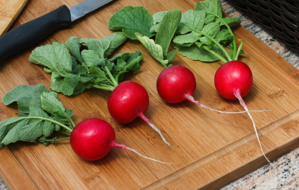 Red Radish 