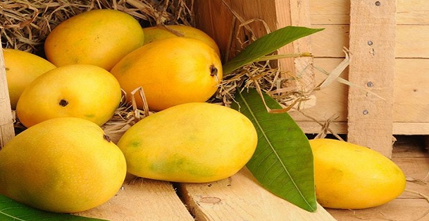 mango