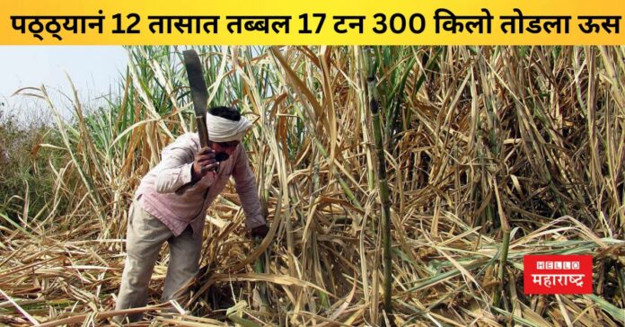 sugarcane laborers Ishwar Sangolkar