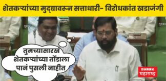 budget session eknath shinde