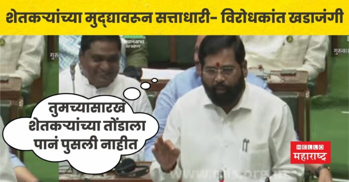 budget session eknath shinde