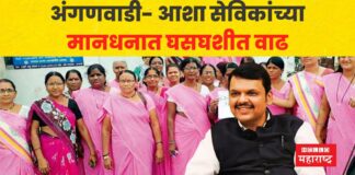 devendra fadnavis maharashtra budget aasha sevika