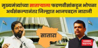 fadnavis satara budget