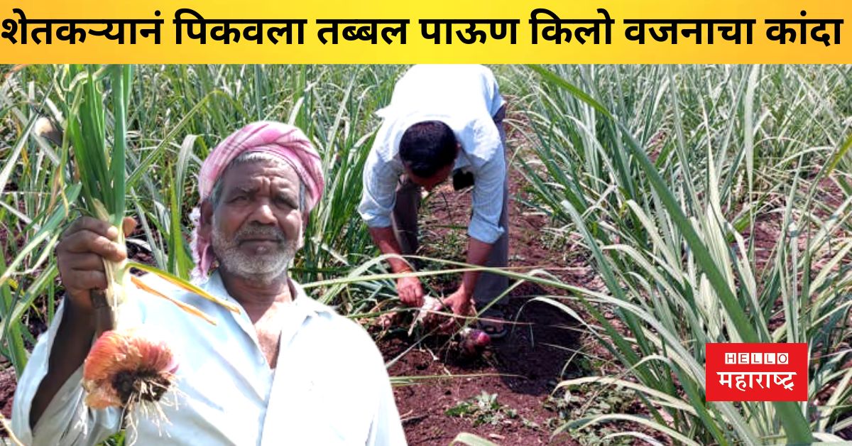 onion palus farmer Hanumant Shirgave