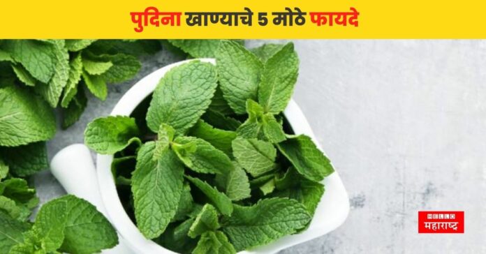 Benefits Of Mint