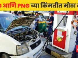 CNG and PNG price