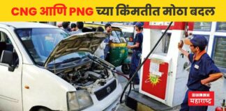 CNG and PNG price