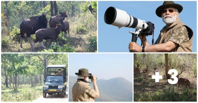 Modi In Bandipur Tiger Reserve