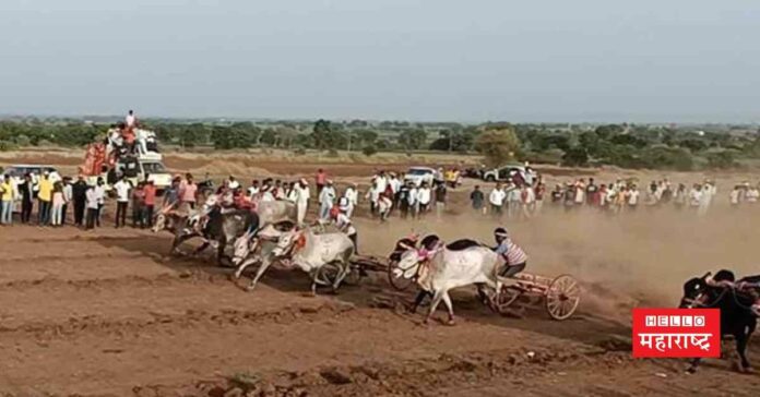 bailgada sharyat (2)