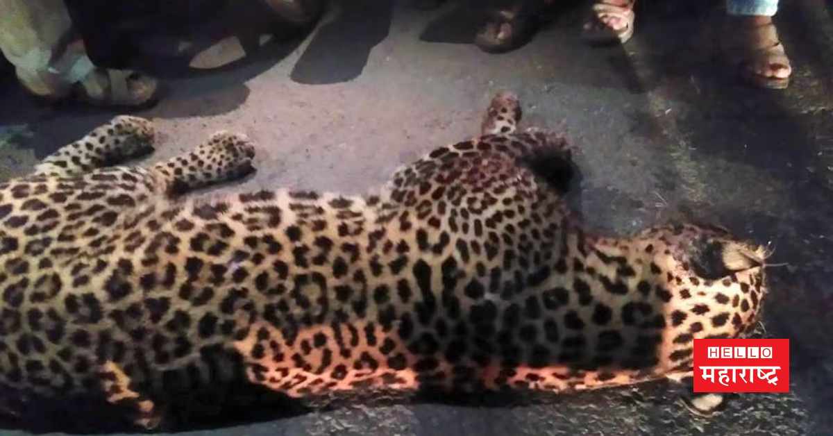 leopard death