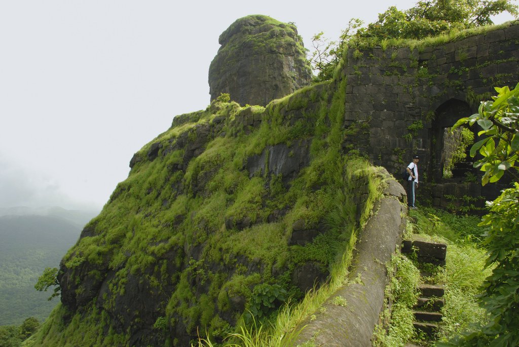 Karnala Fort