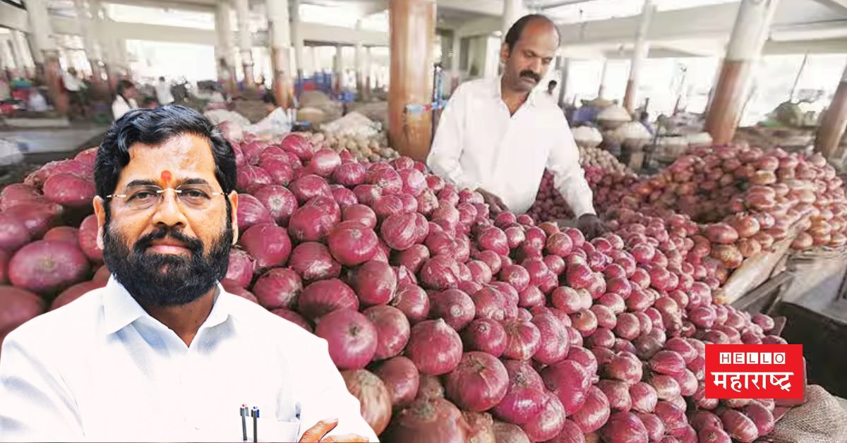 onion subsidy to farmers