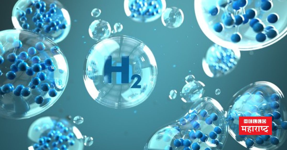 hydrogen- producing bacteria