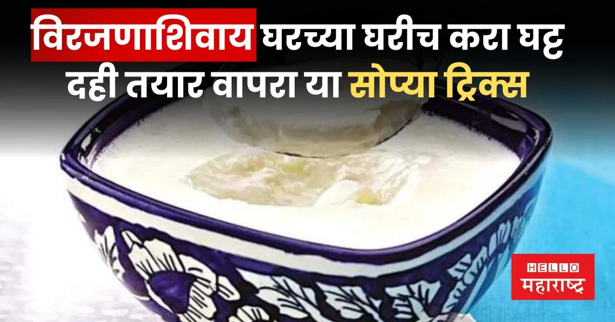 How To Make Curd Instantly