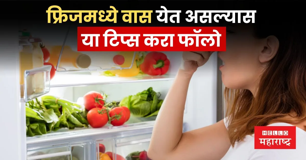 How To Remove Smell From Refrigerator