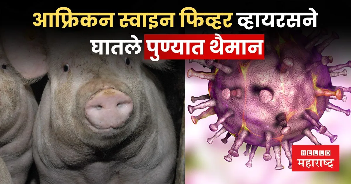 African Swine Fever Virus