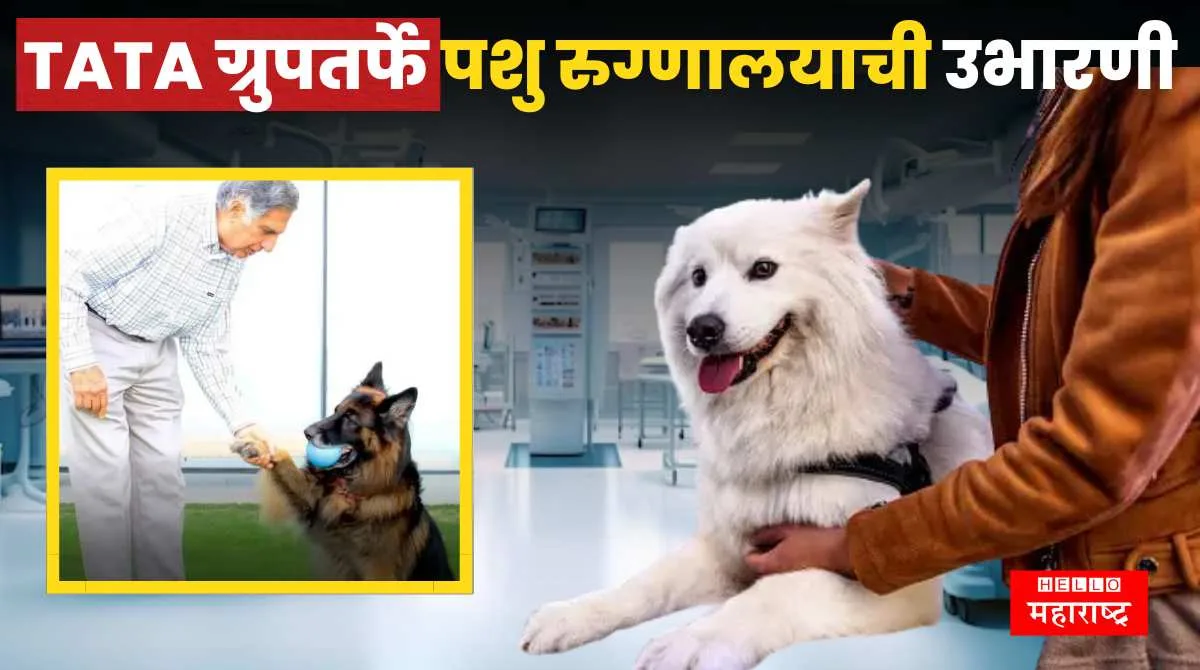 Tata Hospital For Pet