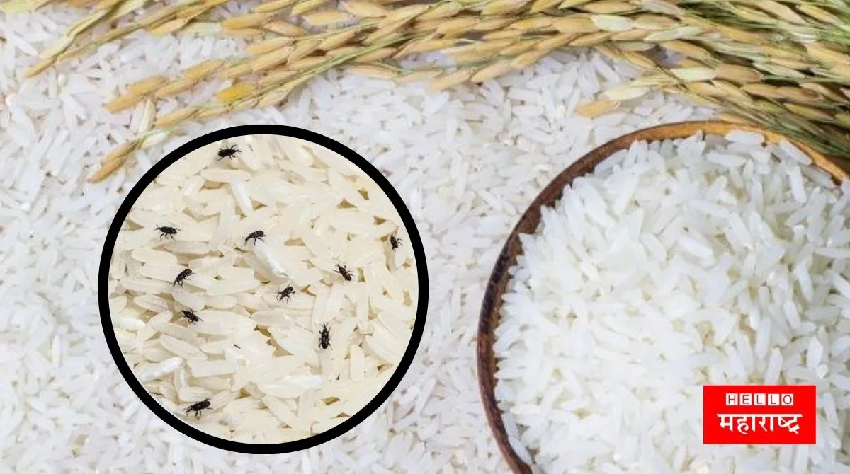 kitchen tips rice