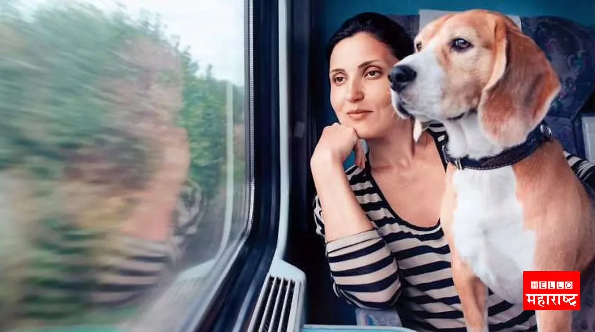 train travel with pet