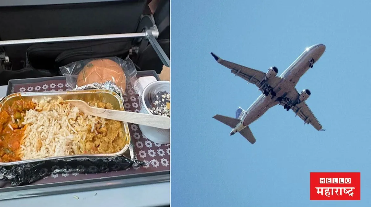 Air flight foods