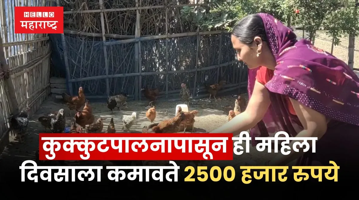 Bussiness Idea Of Poultry Farm
