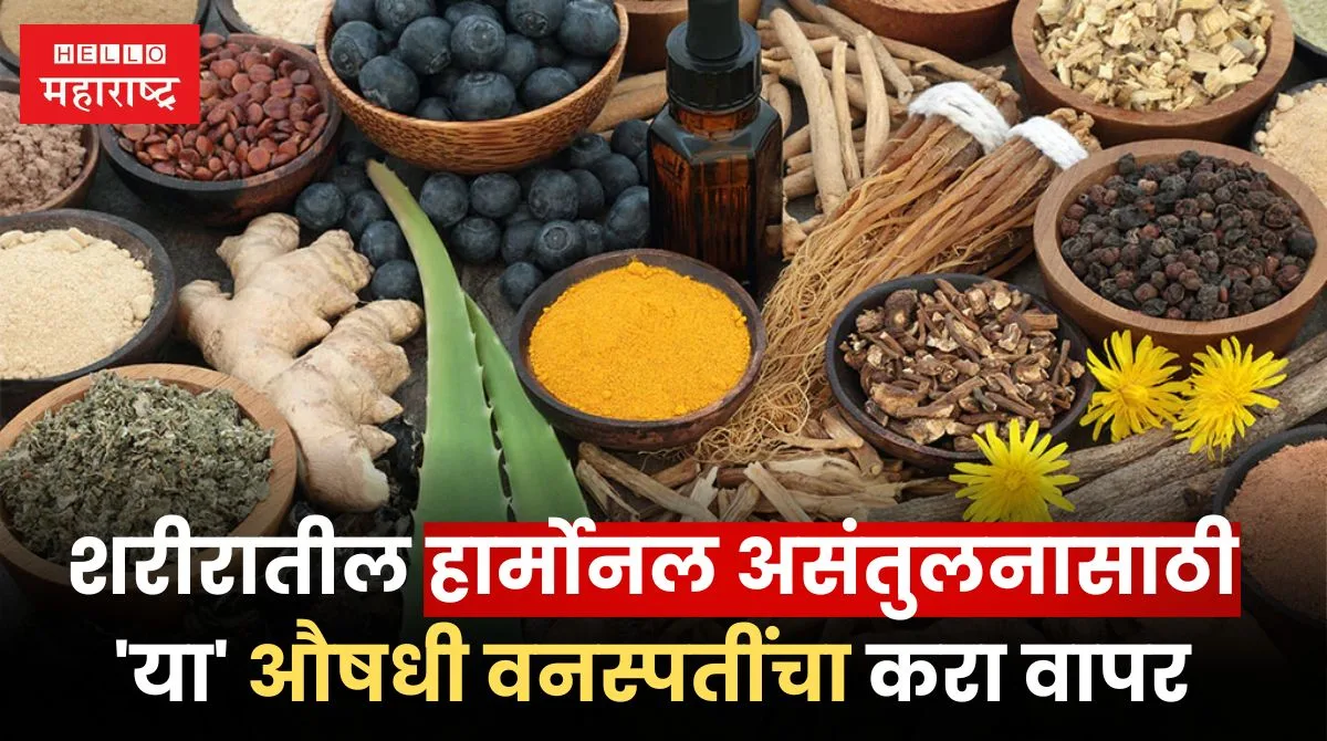 Ayurvedic Herbs Prevent Hormonal Imbalance