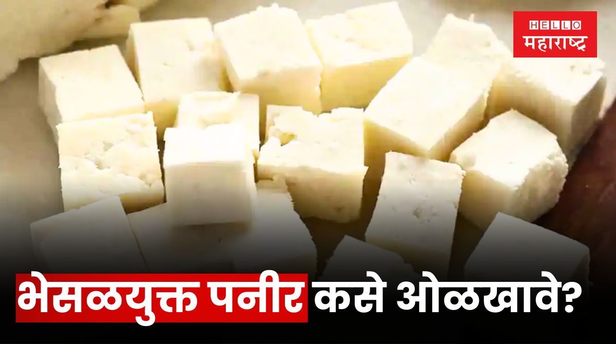 How to Identify Adulteration In Paneer